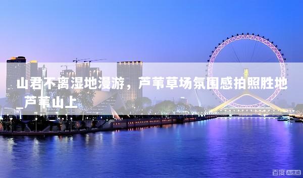 山君不离湿地漫游，芦苇草场氛围感拍照胜地_芦苇山上