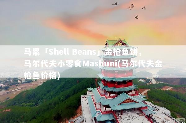 马累「Shell Beans」金枪鱼饼，马尔代夫小零食Mashuni(马尔代夫金枪鱼价格)