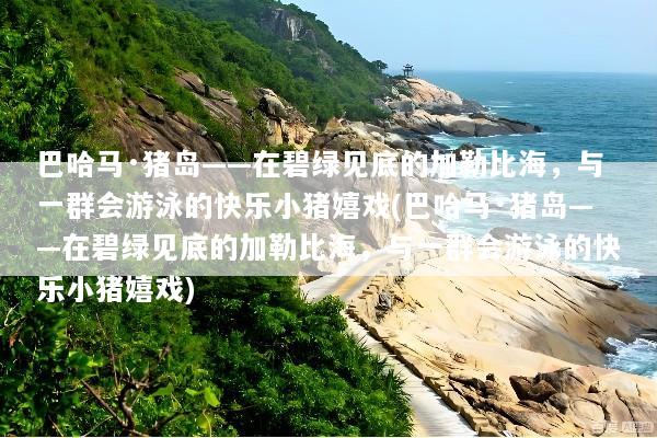 巴哈马·猪岛——在碧绿见底的加勒比海，与一群会游泳的快乐小猪嬉戏(巴哈马·猪岛——在碧绿见底的加勒比海，与一群会游泳的快乐小猪嬉戏)