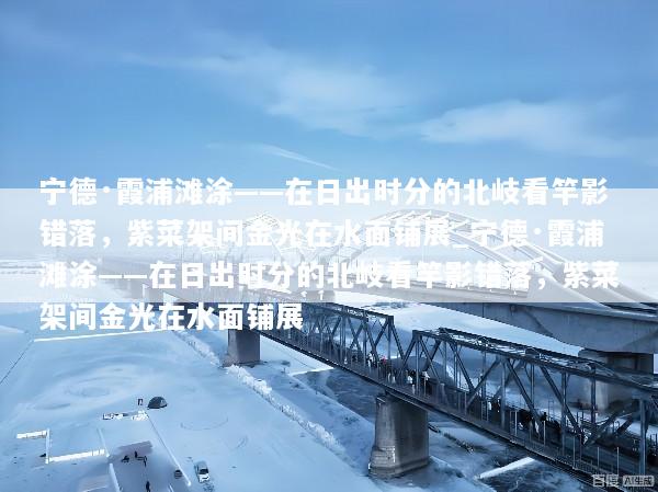 宁德·霞浦滩涂——在日出时分的北岐看竿影错落，紫菜架间金光在水面铺展_宁德·霞浦滩涂——在日出时分的北岐看竿影错落，紫菜架间金光在水面铺展