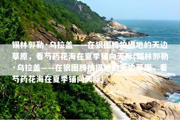 锡林郭勒·乌拉盖——在狼图腾拍摄地的天边草原，看芍药花海在夏季铺向天际(锡林郭勒·乌拉盖——在狼图腾拍摄地的天边草原，看芍药花海在夏季铺向天际)