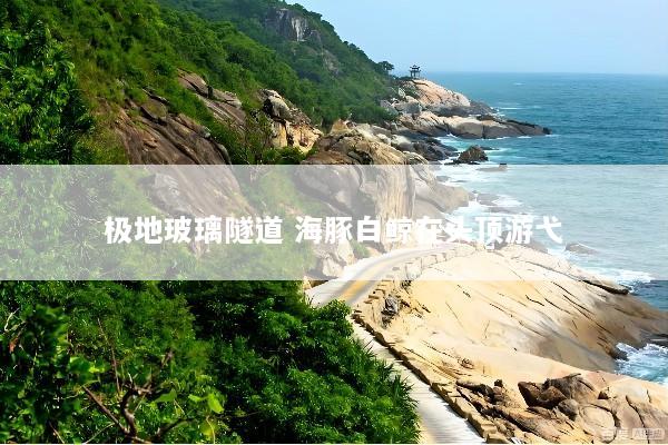 极地玻璃隧道 海豚白鲸在头顶游弋