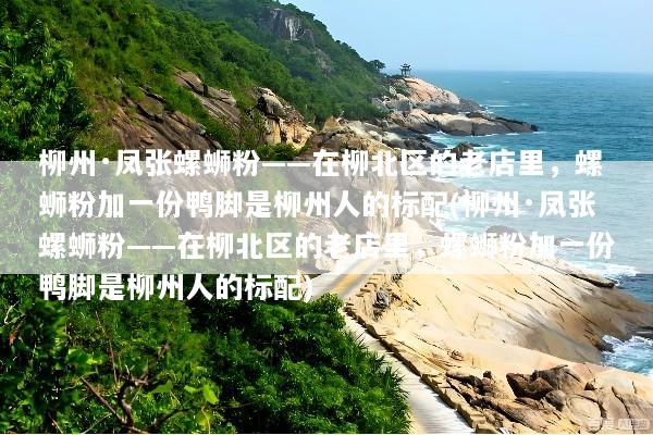 柳州·凤张螺蛳粉——在柳北区的老店里，螺蛳粉加一份鸭脚是柳州人的标配(柳州·凤张螺蛳粉——在柳北区的老店里，螺蛳粉加一份鸭脚是柳州人的标配)