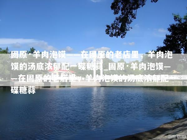 固原·羊肉泡馍——在固原的老店里，羊肉泡馍的汤底浓郁配一碟糖蒜_固原·羊肉泡馍——在固原的老店里，羊肉泡馍的汤底浓郁配一碟糖蒜