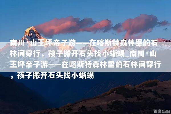 南川·山王坪亲子游——在喀斯特森林里的石林间穿行，孩子搬开石头找小蜥蜴_南川·山王坪亲子游——在喀斯特森林里的石林间穿行，孩子搬开石头找小蜥蜴