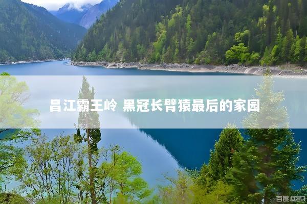 昌江霸王岭 黑冠长臂猿最后的家园