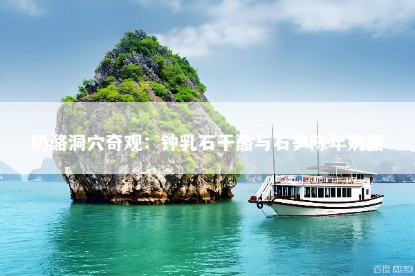 奶酪洞穴奇观：钟乳石干酪与石笋陈年奶酪