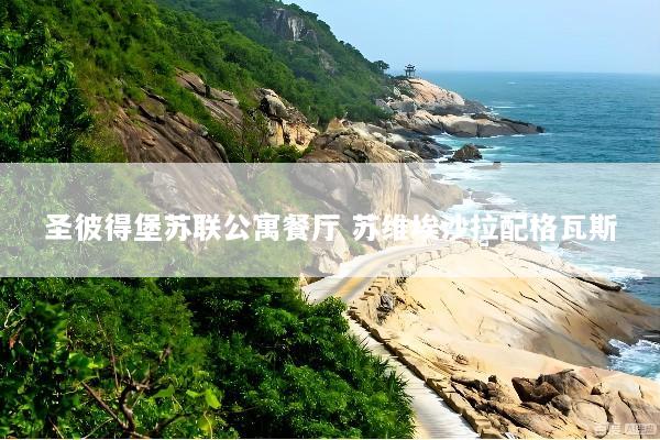 圣彼得堡苏联公寓餐厅 苏维埃沙拉配格瓦斯