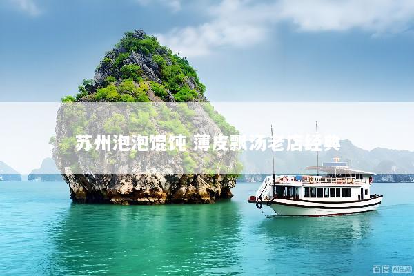 苏州泡泡馄饨 薄皮飘汤老店经典