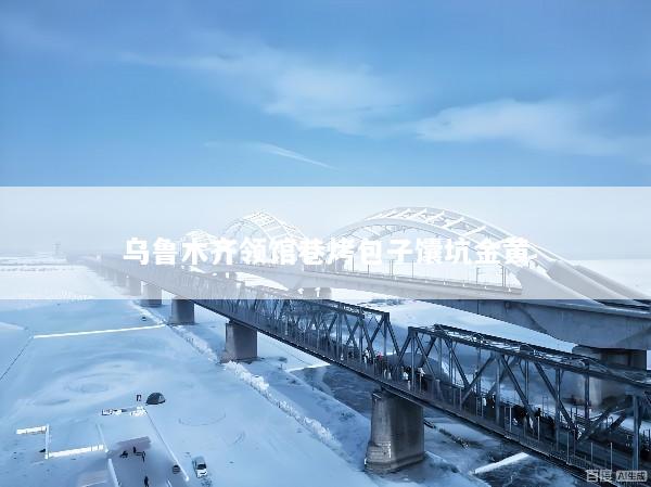 乌鲁木齐领馆巷烤包子馕坑金黄