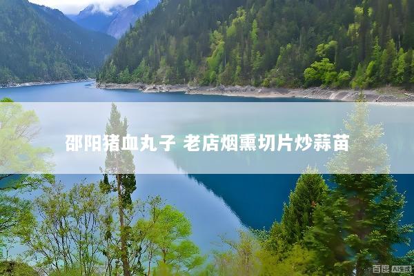 邵阳猪血丸子 老店烟熏切片炒蒜苗