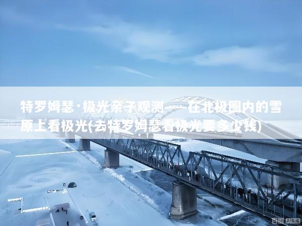 特罗姆瑟·极光亲子观测——在北极圈内的雪原上看极光(去特罗姆瑟看极光要多少钱)
